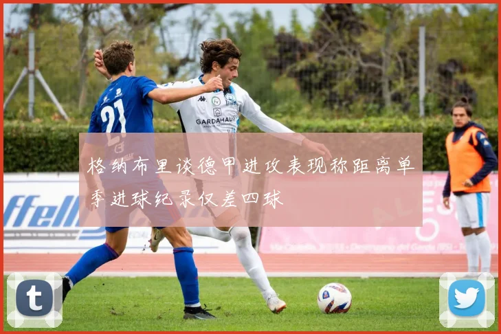 格纳布里谈德甲进攻表现称距离单季进球纪录仅差四球
