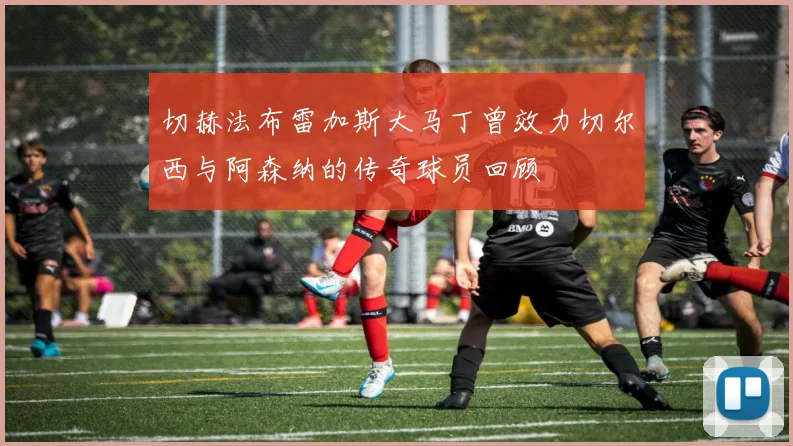 切赫法布雷加斯大马丁曾效力切尔西与阿森纳的传奇球员回顾